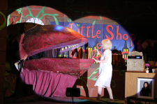 Little Shop of Horrors 60